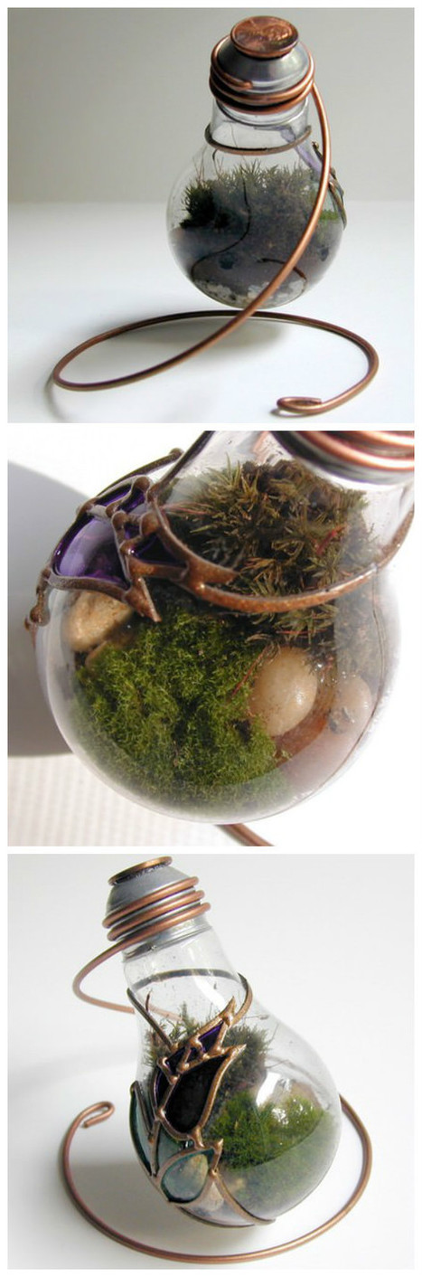 Terrarium Made From Discarded Light Bulb | 1001 Recycling Ideas ! | Scoop.it