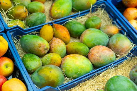 Pesticides : la France suspend la mise sur le march&eacute; de 74 couples denr&eacute;e alimentaire/substance active | Environnement : Politiques Publiques et Strat&eacute;gie | Scoop.it