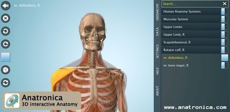 Anatomy 3D - Anatronica - Applications Android sur Google Play | TIC-TAC_aal66 | Scoop.it