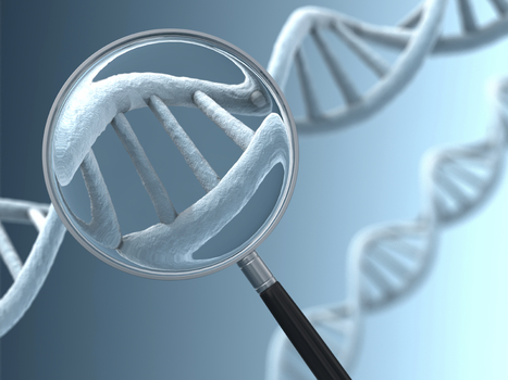 Canada passes genetic 'anti-discrimination' law | Bioéthique & Procréation | Scoop.it