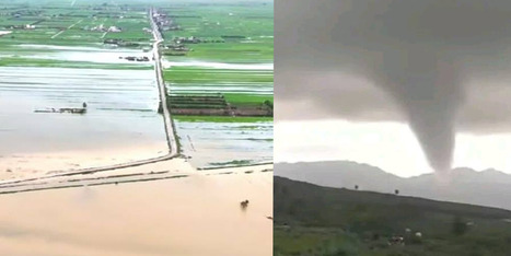 TUNISIE: Intemp&eacute;ries r&eacute;centes : des pluies n&eacute;cessaires, mais des d&eacute;g&acirc;ts agricoles &agrave; ne pas n&eacute;gliger | CIHEAM Press Review | Scoop.it