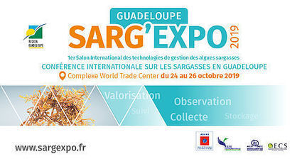 Appel à participation SARG’EXPO – Salon international des technologies de la gestion des algues Sargasse | Revue Politique Guadeloupe | Scoop.it