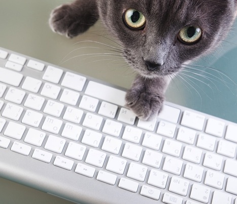 10 Powerful Productivity Browser Extensions | Apartment Therapy | Technology in Business Today | Scoop.it