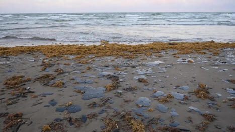 Mar&eacute;e noire dans le golfe du Mexique : 230 km de c&ocirc;te touch&eacute;s dans les r&eacute;gions de Veracruz et Tabasco / le 11.03.2026 | Pollution accidentelle des eaux (+ d&eacute;chets plastiques) | Scoop.it