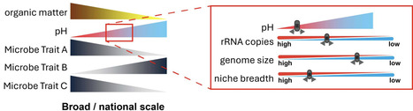 Soil properties in agricultural systems affect microbial genomic traits | fems | RMH | Scoop.it