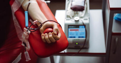 Cursos de Medicina: MPF investiga qualidade das gradua&ccedil;&otilde;es | Inova&ccedil;&atilde;o Educacional | Scoop.it