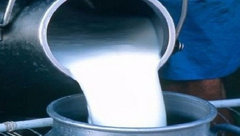 Tunisie : Entrée en vigueur de la nouvelle tarification du lait | Lait de Normandie... et d'ailleurs | Scoop.it