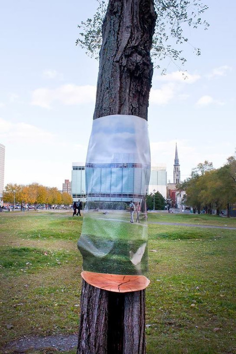 INVISIBLE - Un projet de sensibilisation à l'importance des arbres urbains | Veille territoriale AURH | Scoop.it