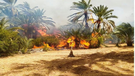 MAROC : Quelles perspectives de l'agriculture marocaine &agrave; la lumi&egrave;re du r&eacute;chauffement climatique et des options du pass&eacute; ? | CIHEAM Press Review | Scoop.it