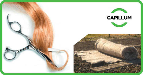 Capillum fabrique un paillage à base de cheveux recyclés  | Build Green, pour un habitat écologique | Scoop.it