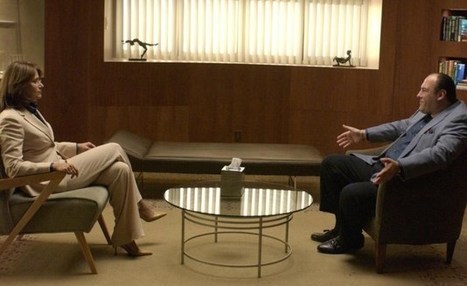 Groen licht voor officiële erkenning psychotherapeuten | Open Universiteit in de 21e eeuw - Naar een nieuw Instellingsplan | Scoop.it