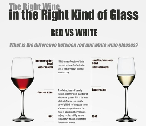 The Right Wine in the Right Kind of Glass | Cool Infographics | KILUVU | Scoop.it