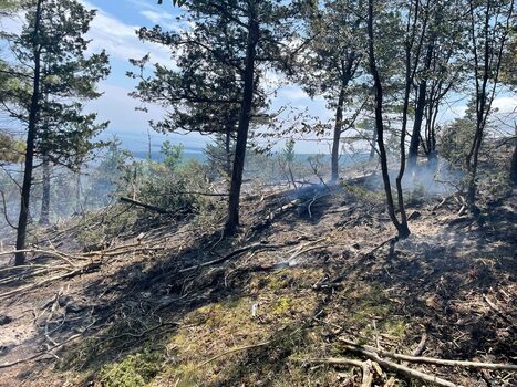 Due to increased fire risk, Governor Hochul implements temporary statewide burn ban | Industry 411 - Waste Management | Scoop.it