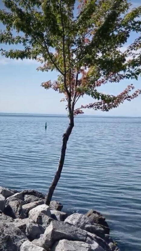 Where does the name Lake Ontario come from? | Language and Culture | Scoop.it