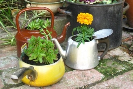 Tea kettle planters | 1001 Gardens | 1001 Gardens ideas ! | Scoop.it