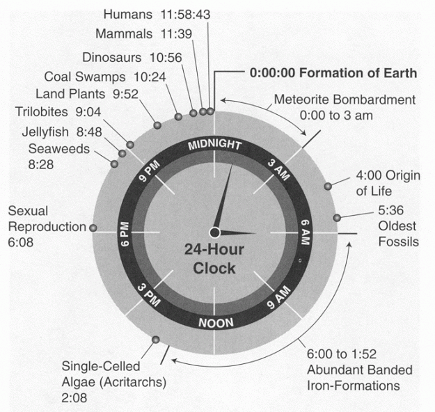 History Of Life On Earth Shown As A 24 Hour Clock | Amazing Science | Scoop.it