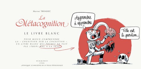 Livre blanc - La m&eacute;tacognition | Innovation et transformation p&eacute;dagogique | Scoop.it