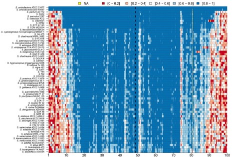 Vers un modèle d’évolution des chromosomes linéaires des bactéries du genre Streptomyces | Life Sciences Université Paris-Saclay | Scoop.it