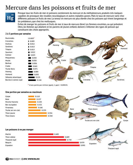 Comment manger du mercure sans s’intoxiquer de poisson ? (infographie) | Zones humides - Ramsar - Océans | Scoop.it