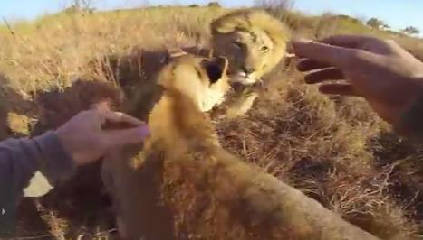 The Best Social Media Storytelling Throws Customers To The Lions | Public Relations & Social Marketing Insight | Scoop.it