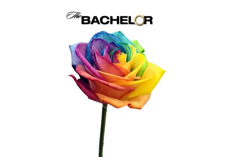 It's About Damn Time For a Gay 'Bachelor' | PinkieB.com | LGBTQ+ Life | Scoop.it