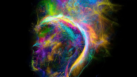 Estudian el cerebro y descubren 'la gran red invisible' que formar&iacute;a tu consciencia | Mi Caj&oacute;n de Ideas | Scoop.it