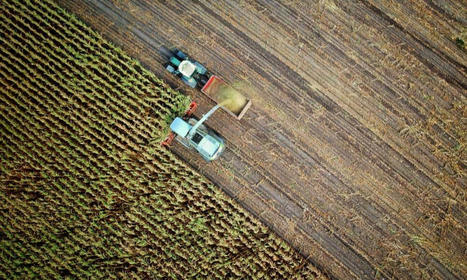 RUSSIA : With delivery of free fertilizer to Nigeria, Moscow recalibrating its african strategy | CONFLIT RUSSO-UKRAINIEN | Scoop.it