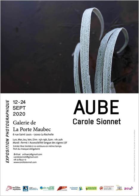 Exposition AUBE de Carole Sionnet à La Rochelle | Créativité et territoires | Scoop.it