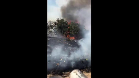 Firefighters battle active 8,700-acre Dry River wildfire in Sutton County - fox7austin.com | Operation Deimos | Scoop.it