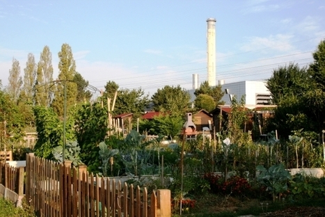 INRA - Destisol'AU : intégrer les potentialités des sols dans les projets d’agriculture urbaine | ESPACES VEGETALISES URBAINS | Scoop.it