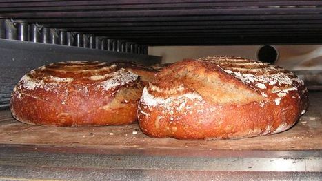 Nachhaltiges Backen: Gut Brot will Weile haben - ZEIT ONLINE | Alles rund ums Brot! Kaufen, backen, essen | Scoop.it