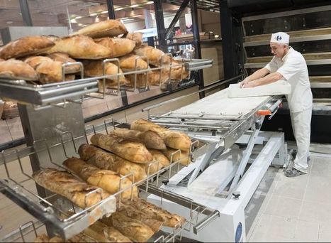 Le pain frais, générateur de trafic et de valeur | Ingrédients de boulangerie pâtisserie | Scoop.it