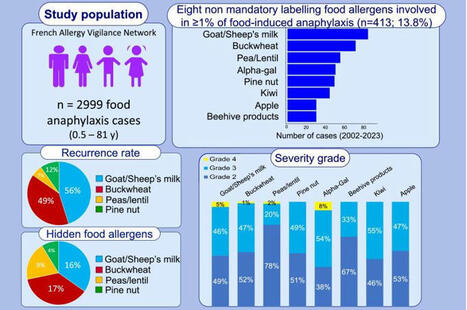 Food Anaphylaxis: Eight Food Allergens Without Mandatory Labelling Highlighted by the French Allergy‐Vigilance Network | Luu-Ly Do-Quang | Allergy (and clinical immunology) | Scoop.it