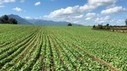Infaaqt, chaire d'enseignement filières agricoles sous signe qualité | Pour innover en agriculture | Scoop.it