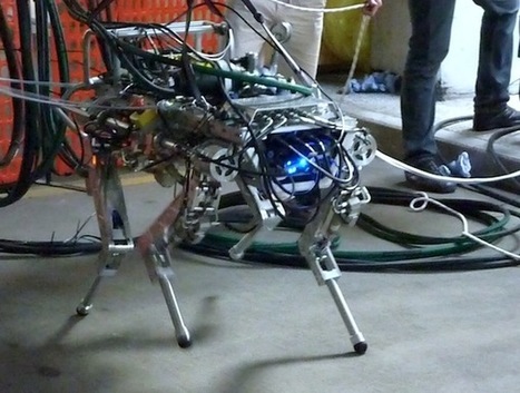 Italian quadruped robot goes for a walk | KurzweilAI | Science News | Scoop.it