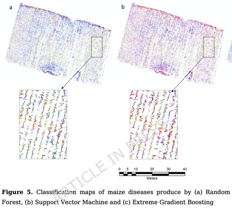 UAV-based multispectral imaging and machine learning for detecting and mapping maize leaf diseases in smallholder farms | Srep | RMH | Scoop.it