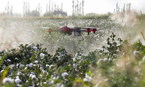 Microsoft au chevet des exploitants africains - CIO Mag | Pour innover en agriculture | Scoop.it