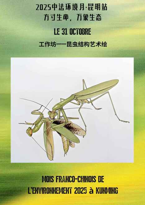 Mois franco-chinois de l’environnement 2025 à Kunming - kunming-afchine.org | Variétés entomologiques | Scoop.it