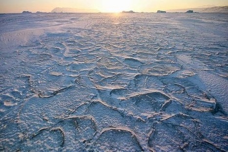 La radiación ultravioleta aumenta la capacidad de captura de CO2 en el Ártico | Ciencia-Física | Scoop.it