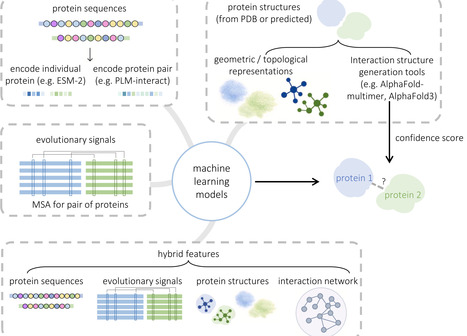 Predictions of protein&ndash;protein interactions and co-complex models with deep learning | cin | RMH | Scoop.it