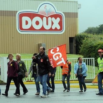 Plus d'un an après leur licenciement massif, 10% des "ex-Doux" ont retrouvé un CDI | La Gazette des abattoirs | Scoop.it