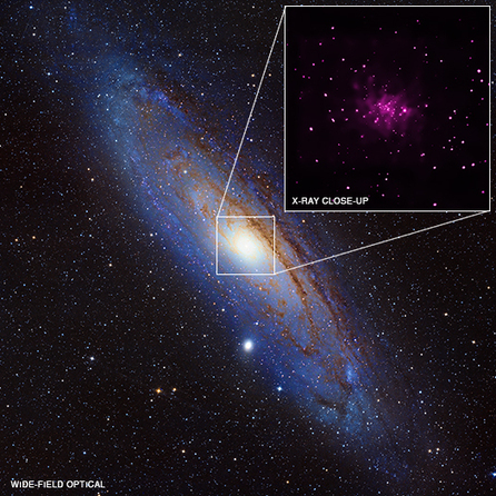 M31: Black Hole Bonanza Turns up in Galaxy Next Door | Good news from the Stars | Scoop.it