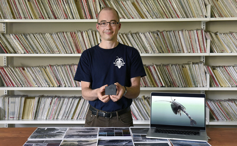 Jean-Bernard Caron, l’énergie fossiles | EntomoScience | Scoop.it