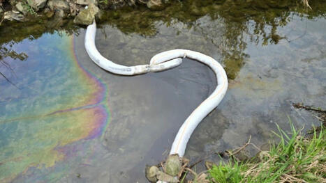 Oil spill in Frankenmuth prompts deployment of booms along Cass River / le 21.05.2025 | Pollution accidentelle des eaux (+ déchets plastiques) | Scoop.it