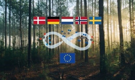 L’ECHA et cinq pays européens publient un rapport d’avancement sur la restriction des PFAS | ECHA | Prévention du risque chimique | Scoop.it