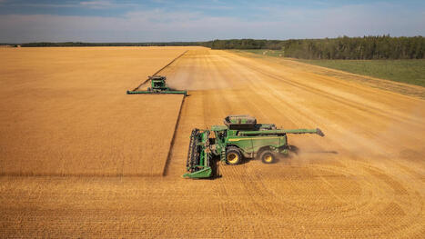 CANADA: Une ann&eacute;e record pour les r&eacute;coltes dans les Prairies | AM&Eacute;RIQUES | Scoop.it