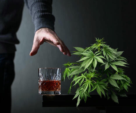 Cannabis Use Decreases Alcohol Cravings among Heavy Drinkers Says New Medical Study | Cannabis.Net | Scoop.it