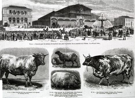 Paris. Les abattoirs de la Villette (1858 !) | La Gazette des abattoirs | Scoop.it