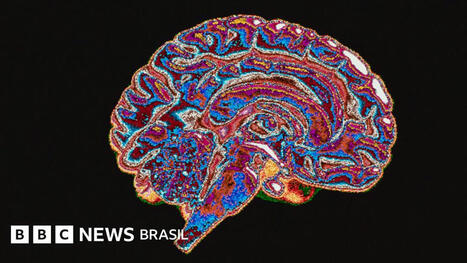 Corrupção é da natureza humana? O que diz a neurociência | Inovação Educacional | Scoop.it