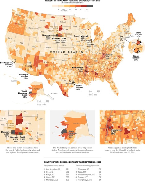 Visualizing Poverty Across America | Daily Infographic | Things and Stuff | Scoop.it